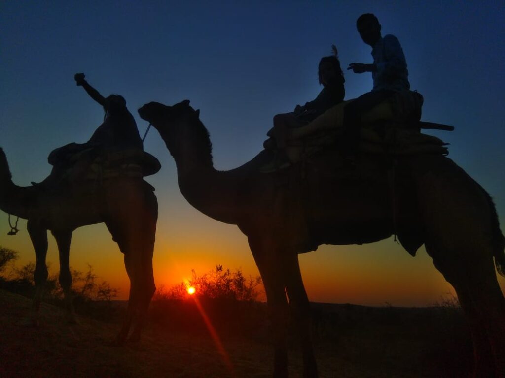 bishnoi village safari jodhpur