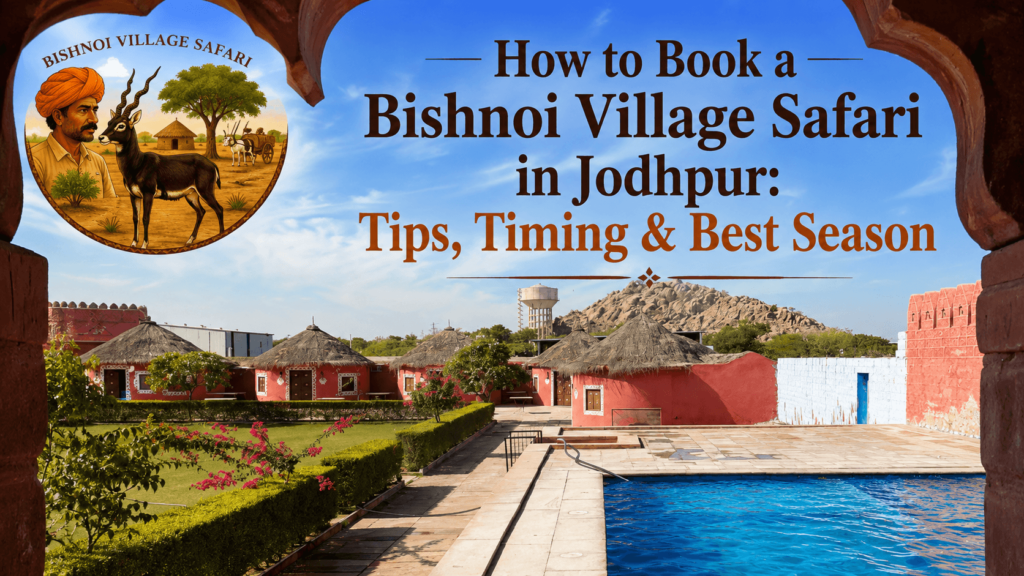 How to Book a Bishnoi Village Safari in Jodhpur: Tips, Timing & Best Season