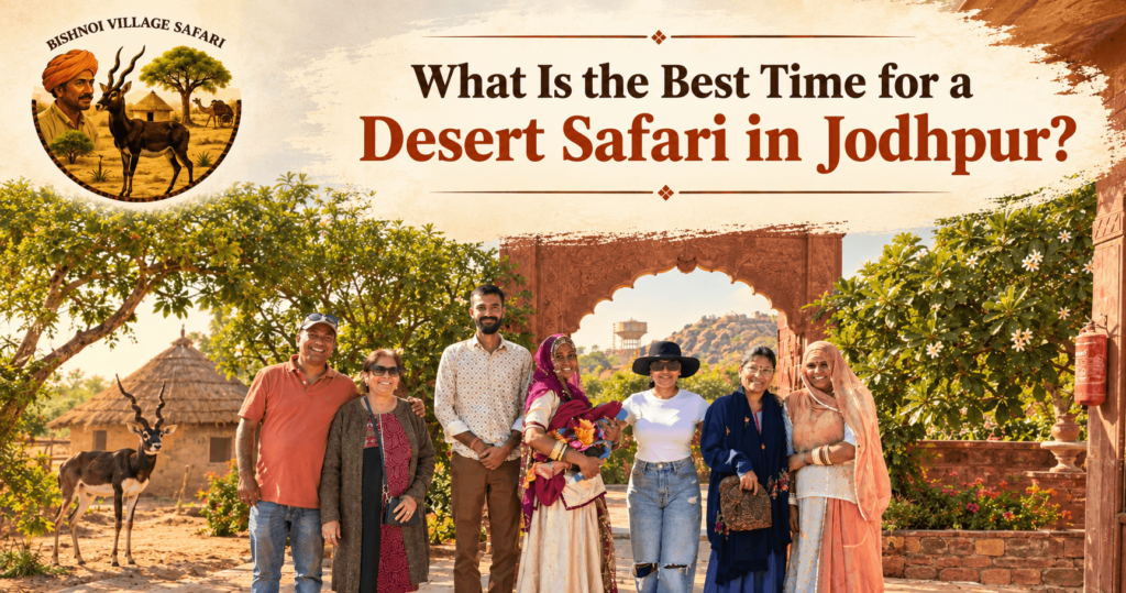 What Is the Best Time for a Desert Safari in Jodhpur?