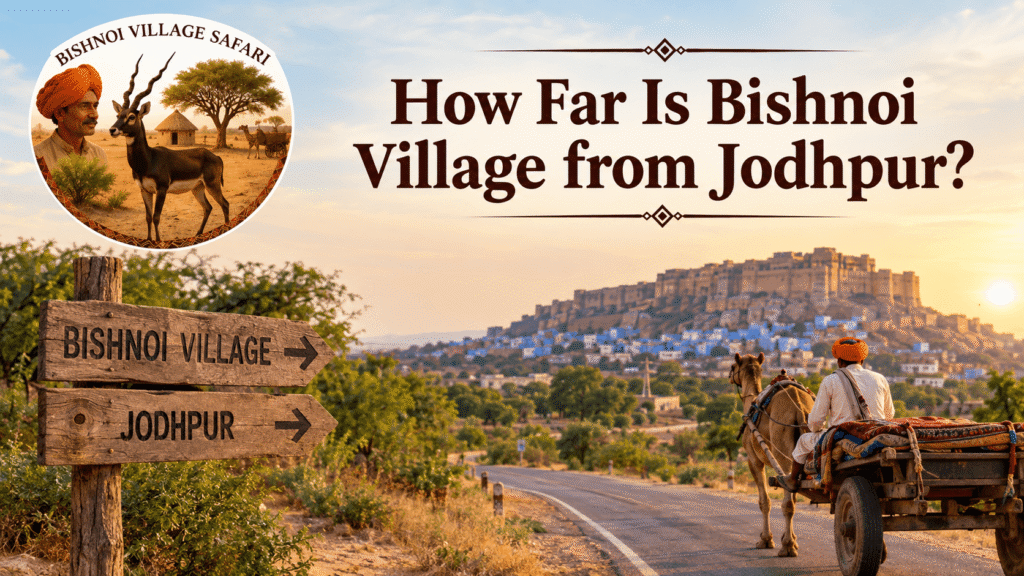 How Far Is Bishnoi Village from Jodhpur?